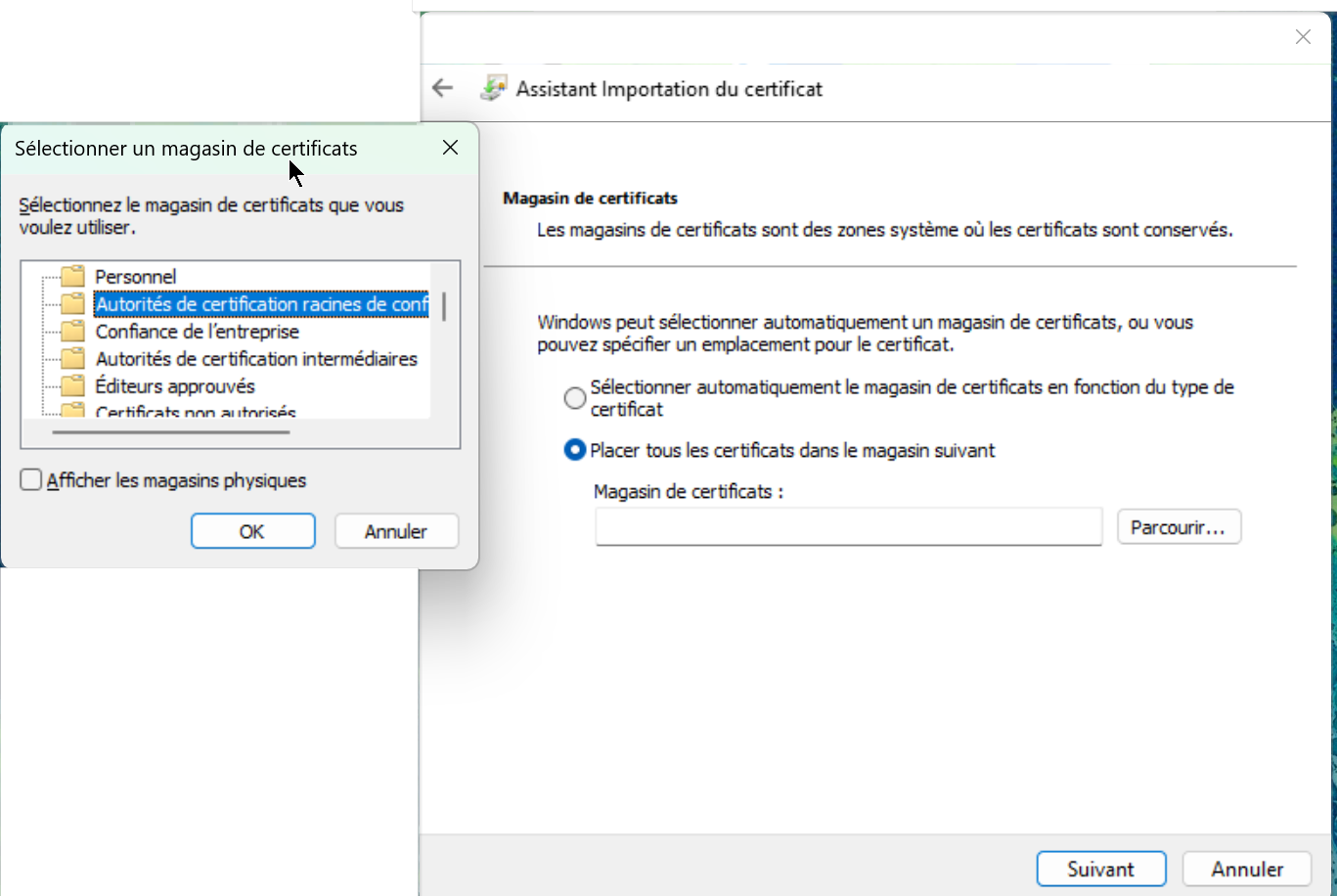 install-ca